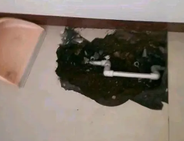 雅安市卫生间测漏水多少钱